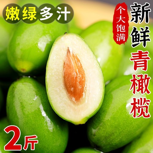 福建正宗香甜青橄榄果新鲜现摘酥脆二号生吃回甘孕妇水果煲汤青果