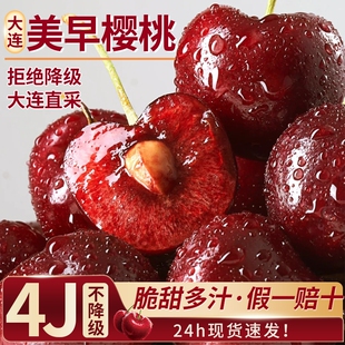 大连美早大樱桃新鲜水果包邮5斤礼盒当季3j国产孕妇5j车厘子顺丰
