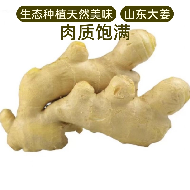 山东大姜2500g优质鲜姜包