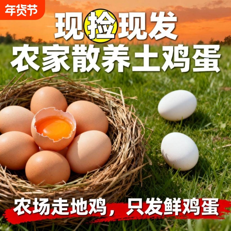 正宗土鸡蛋农家散养土鸡蛋新鲜土鸡蛋农家土鸡蛋当日鲜蛋新鲜现发,水产肉类/新鲜蔬果/熟食,鸡蛋,淘宝优惠券,粉丝福利购,淘宝优惠卷