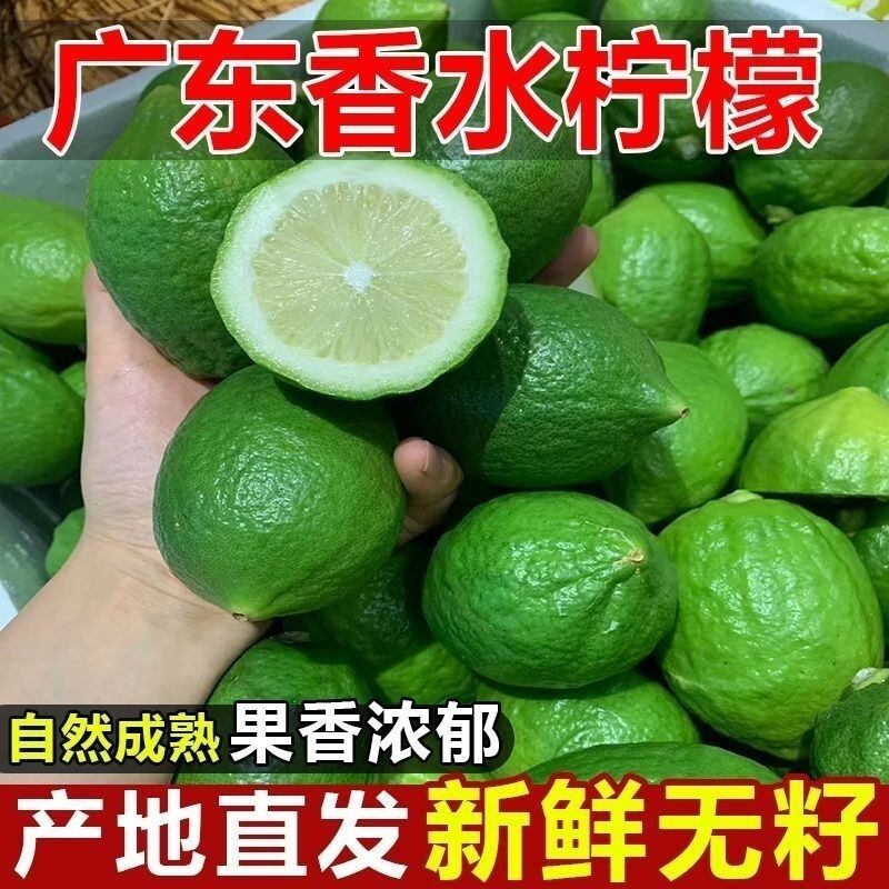广东江门香水柠檬一级果茶饮专用十年老树果园直发无籽5斤商用