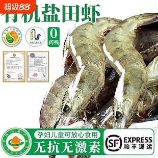 真有机无抗盐田大虾白虾活冻虾礼盒装宝宝辅食新鲜冷冻2斤装水产
