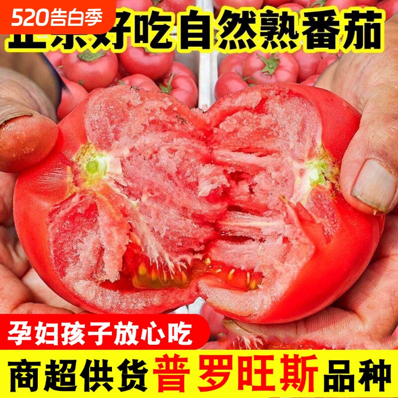 正宗陕西泾阳自然熟普罗旺斯番茄孕妇水果生吃沙瓤西红柿新鲜蔬菜