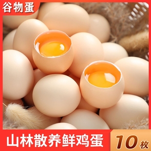 新鲜土鸡蛋农家散养谷物蛋营养柴鸡蛋优质笨鸡蛋45g 枚现捡现发