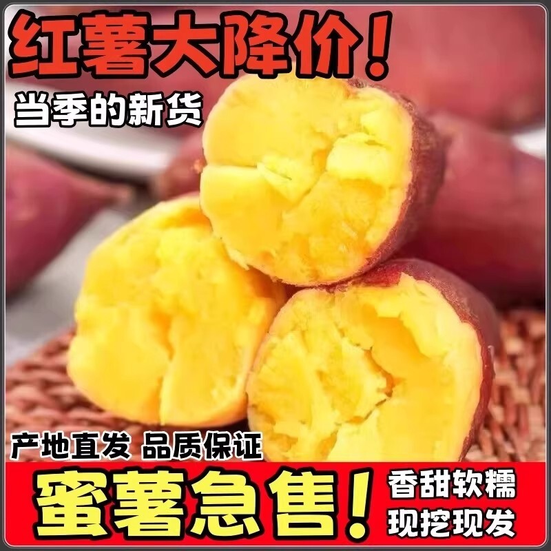 新鲜龙九蜜薯9斤板栗红薯农家自种非沙地红心番薯地瓜当季软糯