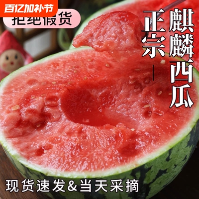 正宗云南麒麟西瓜当季新鲜水果