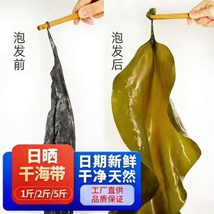 秋农伯霞浦整条海带干货厚福建特产级散装昆布批发商用海带丝头