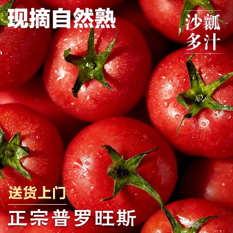 普罗旺斯西红柿正宗新鲜蔬菜水果自然熟生吃沙瓤番茄柿子包邮精选