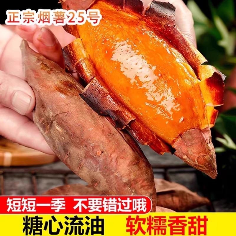 新鲜沙地蜜薯烟薯地瓜板栗红薯糖心番薯山芋农家自种现挖蜜薯红薯