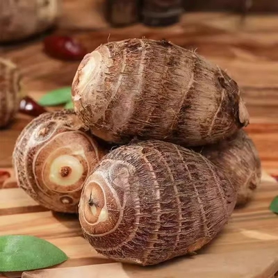 山东当季现挖牛奶芋头新鲜芋头小香芋老品种毛软糯精挑芋艿