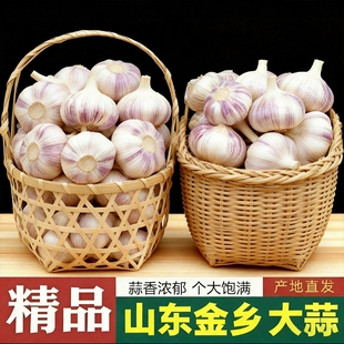 自提紫皮回购净重 包邮 今年新干蒜5斤大蒜头农家大蒜当季 新鲜蔬菜
