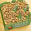 恩施黄心迷你小土豆新鲜老品种洋芋农家自种珍珠