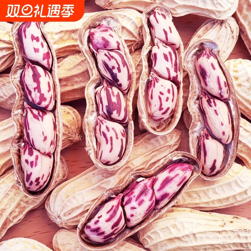 云南七彩野地花生新货带壳熟花生黑花生五彩花生水果花生种子