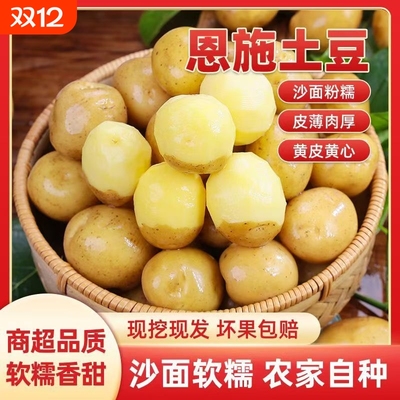恩施小土豆正宗包邮新鲜洋芋迷你黄心士豆湖北马铃薯蔬菜