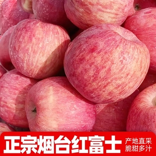正宗山东烟台红富士苹果新鲜水果栖霞当季脆甜应季整箱产地直采