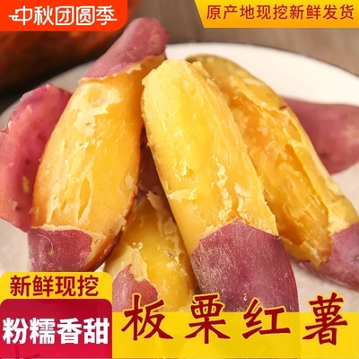 正宗陕西板栗红薯临潼现挖新鲜沙地黄心蜜薯糖心粉糯地瓜商用