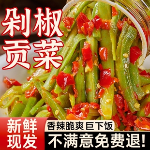 剁椒贡菜咸菜下饭菜湖南特产辣椒酱瓶装 即食开胃榨菜拌饭酱香辣