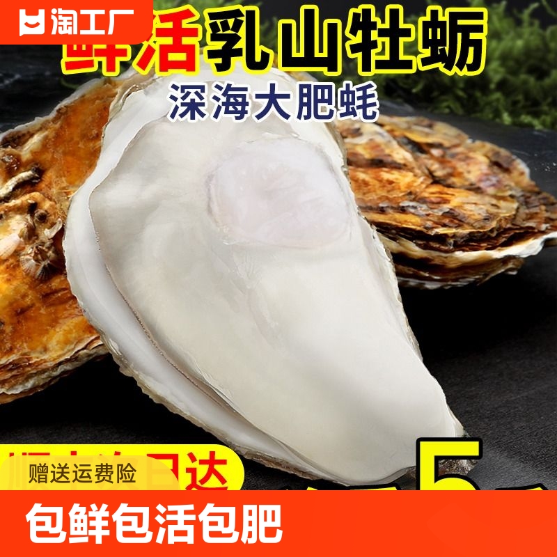 乳山生蚝鲜活5斤带箱海鲜水产海蛎子新鲜牡蛎整箱10中蚝单只2两-封面