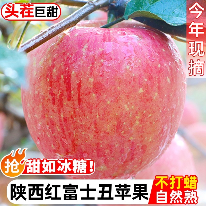 正宗陕西红富士丑苹果新鲜水果应当季整箱脆甜冰糖心孕妇果园平果,水产肉类/新鲜蔬果/熟食,苹果,淘宝优惠券,粉丝福利购,淘宝优惠卷