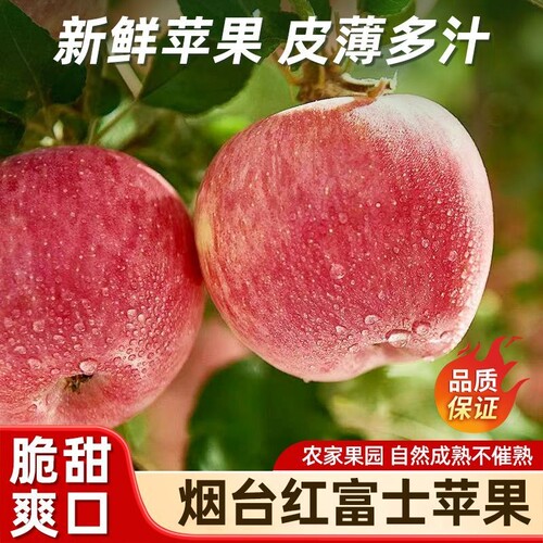 正宗山东红富士冰糖大果苹果