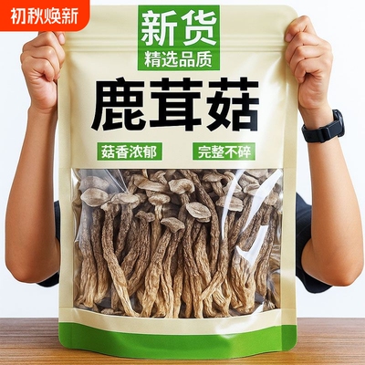 精选鹿茸菇250g|回头客超1800人