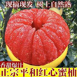 正宗平和琯溪蜜柚红肉当季新鲜孕妇水果酸甜薄皮果肉饱满产地直发
