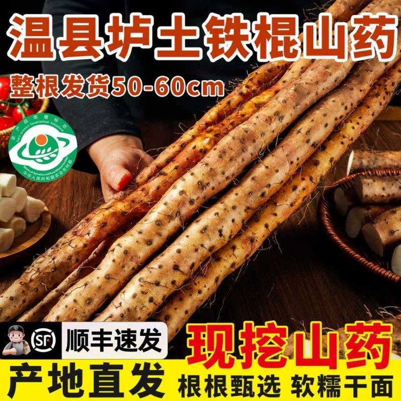 河南焦作温县铁棍山药正宗垆土淮山药怀山药铁杆山药新鲜5斤