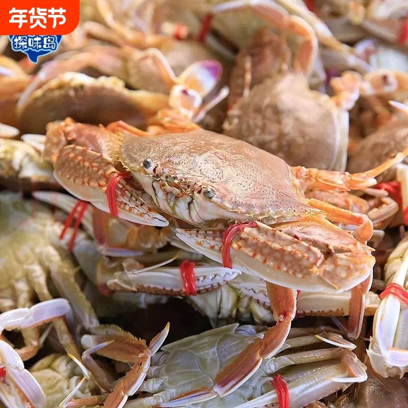 探味岛【顺丰包邮】福建东山岛大肉蟹扁蟹梭子蟹鲜活冷冻螃蟹海蟹
