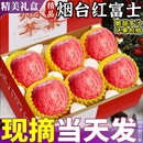 礼盒装 现摘新鲜水果栖霞脆甜整箱 正宗烟台红富士苹果山东特产当季