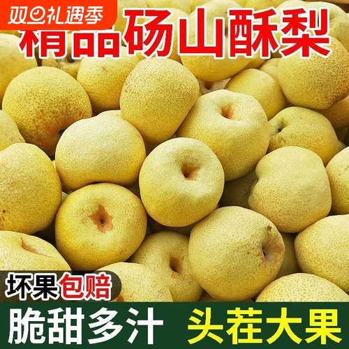 酥脆多汁老树梨子砀山酥梨新鲜农家自种皮薄