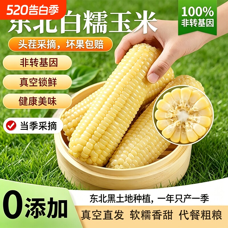东北白糯玉米甜糯玉米真空装加热即食新鲜玉米棒新货头插玉米粗粮