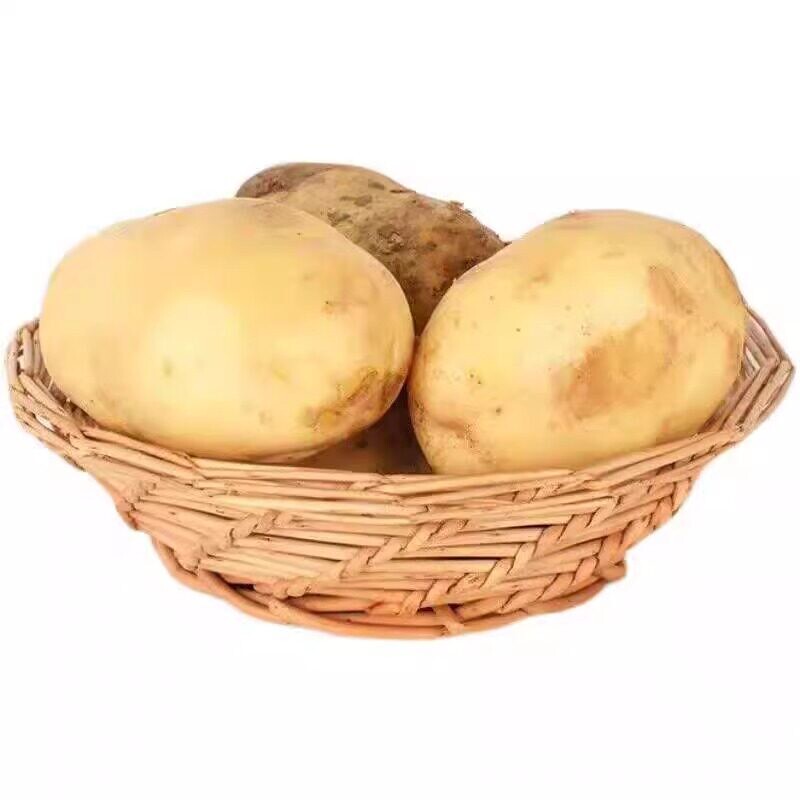 贵州特产威宁黄心米拉洋芋今年新土豆新鲜高山老品种黄皮