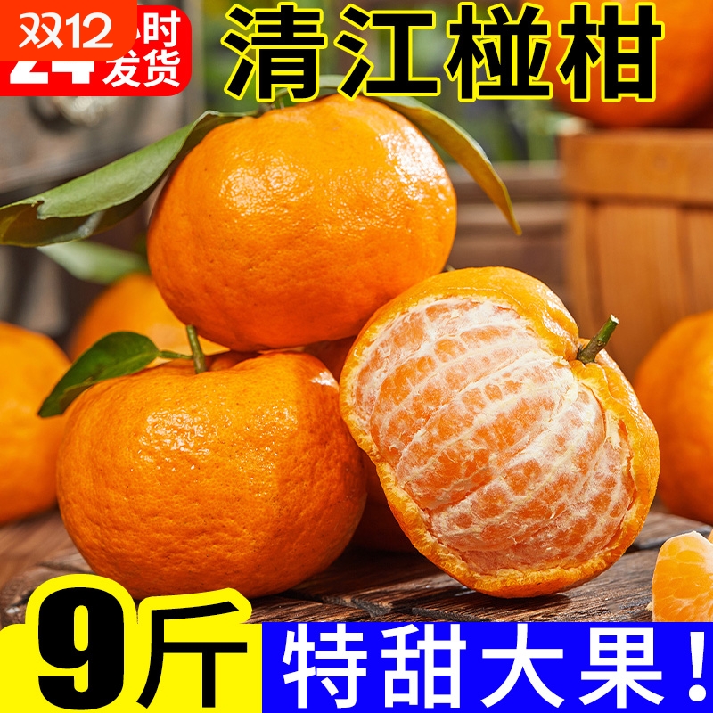 清江椪柑9斤大果皮薄特甜多汁