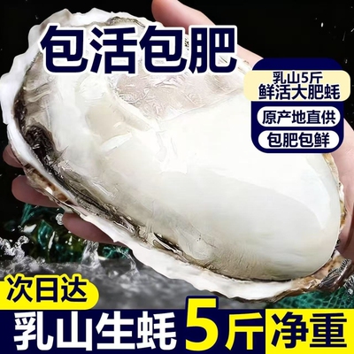乳山生蚝鲜活特大海蛎子刺身新鲜牡蛎整箱商用批发海鲜5斤方旗舰