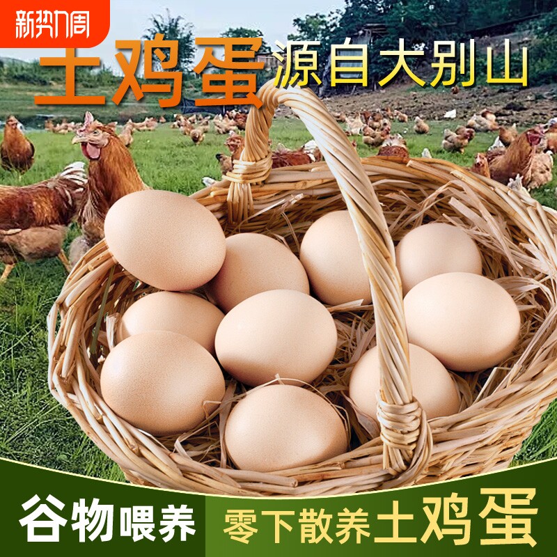 土鸡蛋散养新鲜鸡蛋宝宝孕妇虫草蛋40枚湖北大别山谷物蛋自提农村