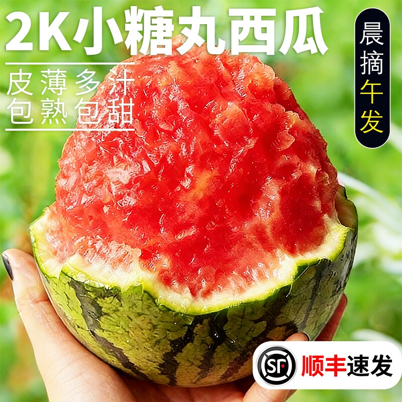 2k小西瓜新鲜网红小糖丸现摘现发脆甜多汁整箱顺丰速发非麒麟西瓜