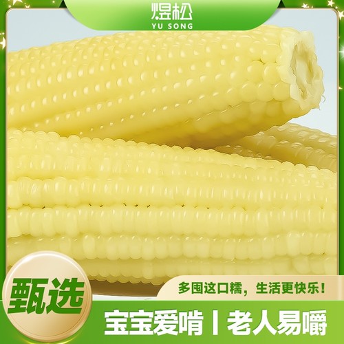 东北 新鲜白糯玉米10支低脂代餐真空包装粗粮代餐