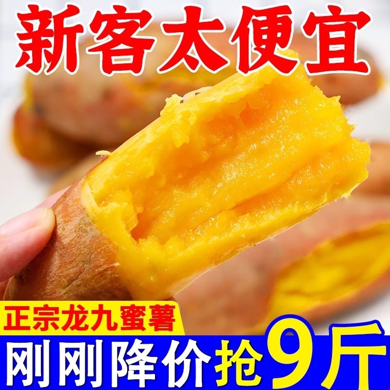 正宗沙地黄心蜜薯现挖龙九番薯新鲜地瓜板栗红薯山芋批发香甜自提
