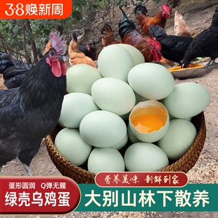 绿壳乌鸡蛋50枚大别山散养孕妇虫草蛋儿童正宗农家土鸡蛋新鲜山林