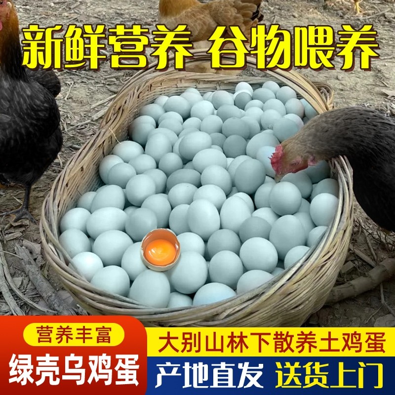 绿壳乌鸡蛋正宗农家散养50枚大别山跑山鸡虫草土鸡蛋新鲜喂养谷物