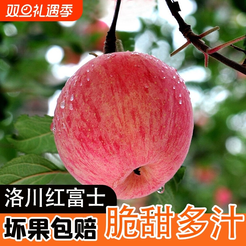 正宗陕西洛川红富士9斤整箱苹果新鲜水果应季脆甜当季孕妇5包邮