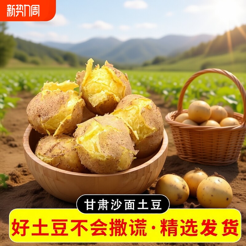 25年甘肃定西沙面土豆农家新鲜现挖高山黄心洋芋马铃薯商用小土豆
