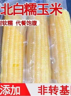 东北 新鲜白糯玉米10支低脂代餐真空包装粗粮代餐
