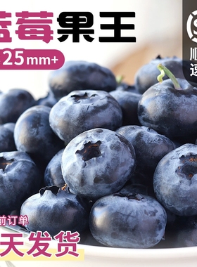 云南蓝莓鲜果特大礼盒当季高山L25花香新鲜水果孕妇怡颗蓝梅整箱