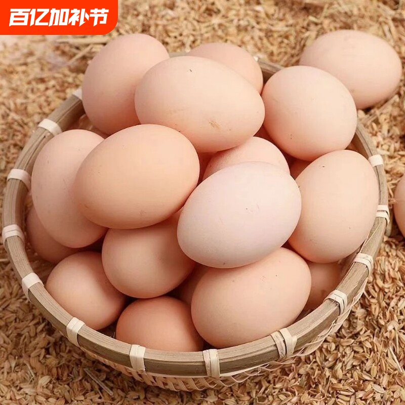 新鲜鸡蛋正宗散养土鸡蛋新鲜农村笨鸡蛋田园虫草喂养整箱批发50枚