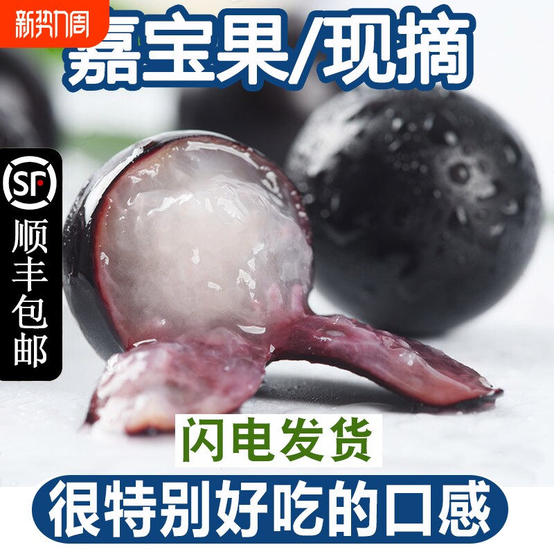 顺丰树葡萄鲜果新鲜孕妇水果现摘嘉宝果2斤罕见稀奇古怪的水果