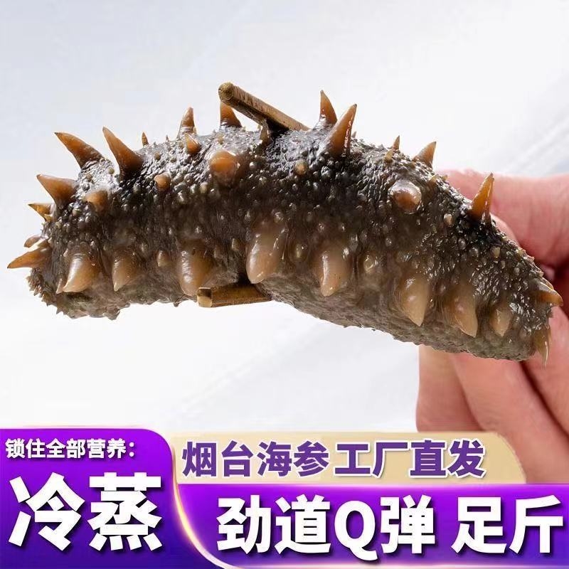 海参即食500g野生即食海参冷蒸鲜食3斤海渗海生叁孕妇刺参5斤特
