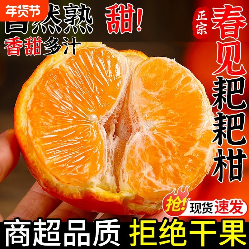 正宗四川春见耙耙柑粑粑柑橘子现摘发货水果应当季新鲜整箱丑桔10,水产肉类/新鲜蔬果/熟食,桔子,淘宝优惠券,粉丝福利购,淘宝优惠卷