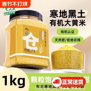 东北有机大黄米新米农家黍米五谷杂粮大黄米粥饭粽子年糕糍粑专用
