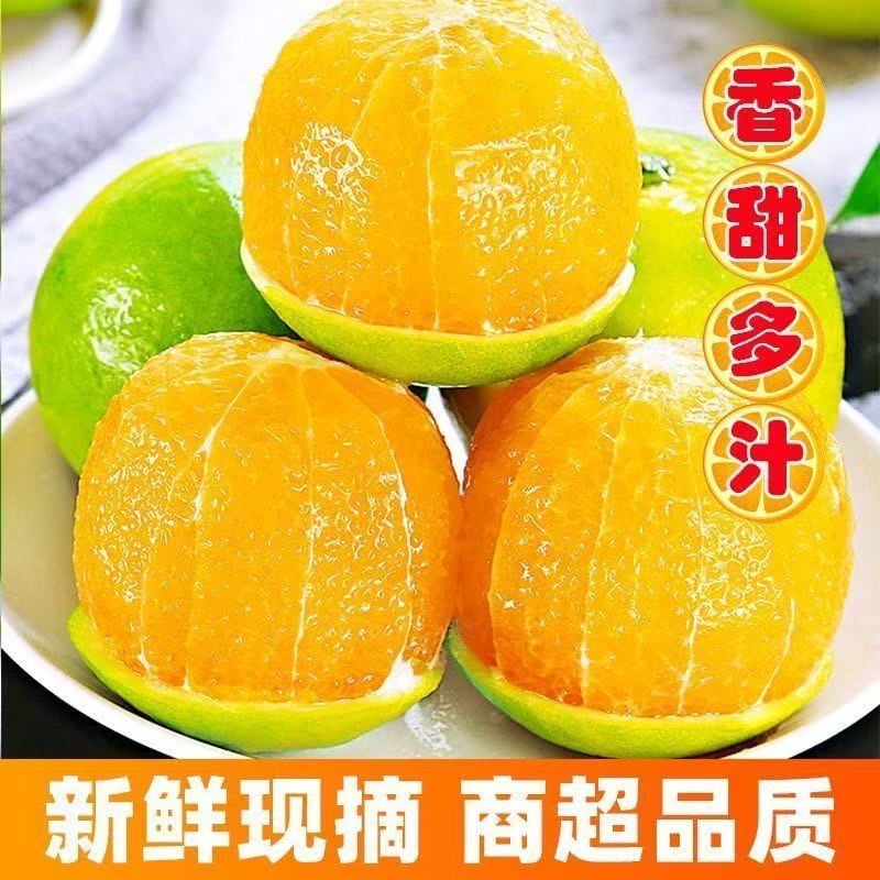 正宗云南哀牢山冰糖橙水果新鲜应当季橙子柑橘青皮甜现摘产地直发